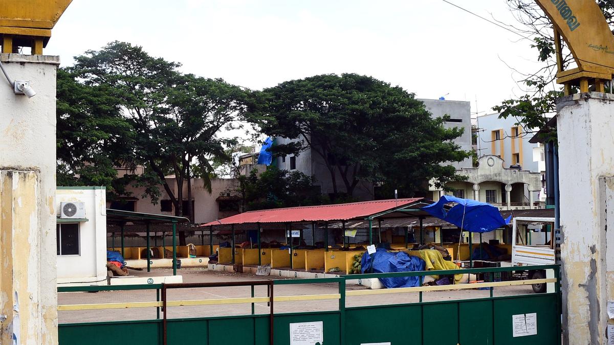 Evening market at R.S. Puram Uzhavar Sandhai in Coimbatore from August